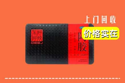 阿坝州松潘回收阿胶