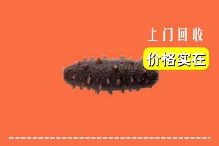 阿坝州松潘回收海参