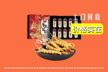 阿坝州松潘回收虫草