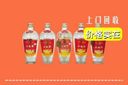 阿坝州松潘回收老五粮液